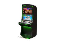 23.8'' Casino Slot Game Machine  
